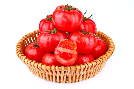西红柿白底