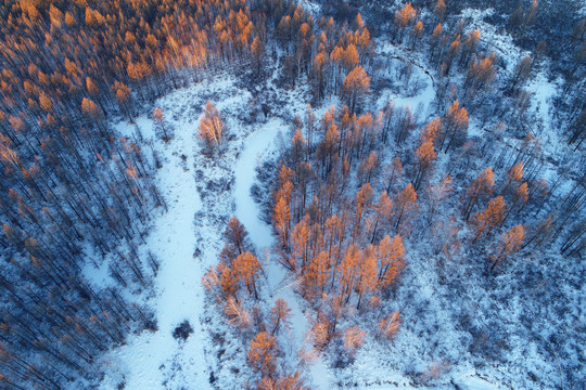 航拍雪域树林雪景