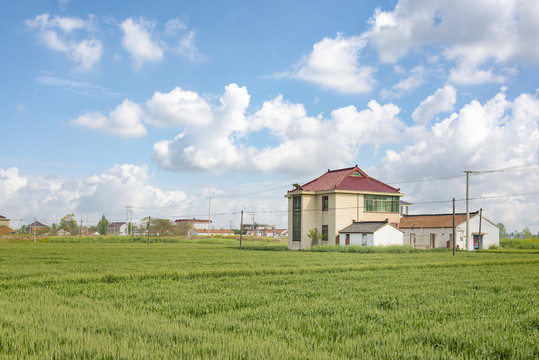 乡村住宅田野风光