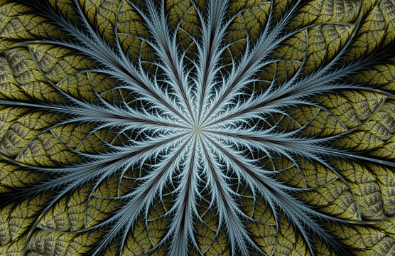 花紋圖案