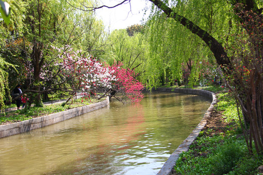 桃花村