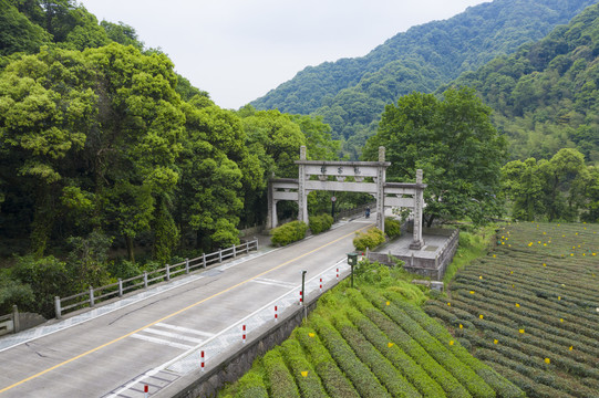 杭州梅家坞梅灵路隧道航拍