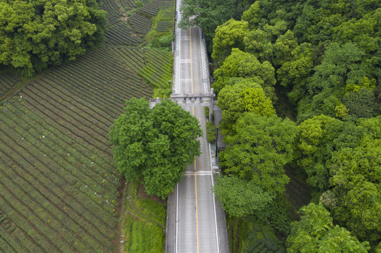 杭州西湖景区梅家坞梅灵路隧道