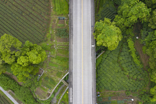 杭州西湖景区梅家坞梅灵路隧道