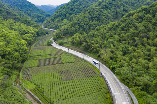 杭州西湖景区梅家坞梅灵路隧道