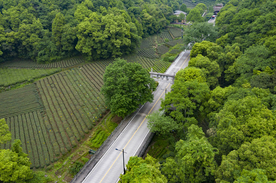 杭州西湖景区梅家坞梅灵路隧道