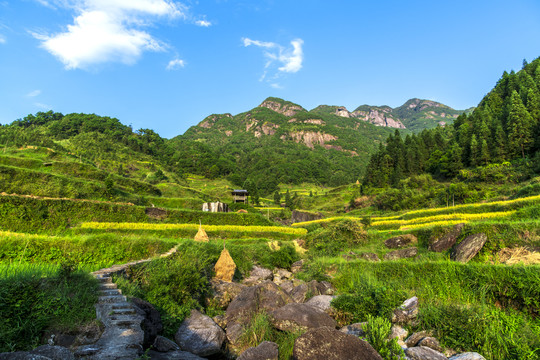 广西元宝山