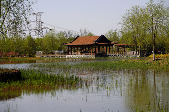 北京张家湾公园