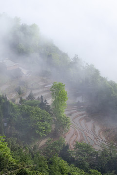 宜宾横江古镇石城山自然风光