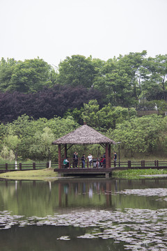 松雅湖湖面亭子