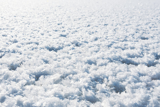 雪地霜花