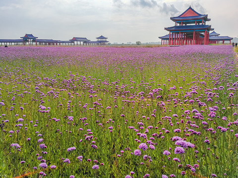 花园古建筑