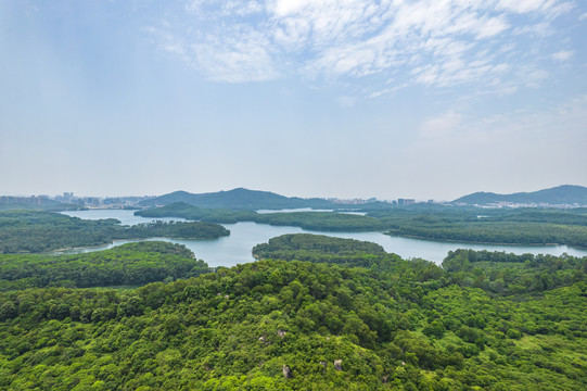 深圳铁岗水库