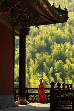 杨岐山普通寺