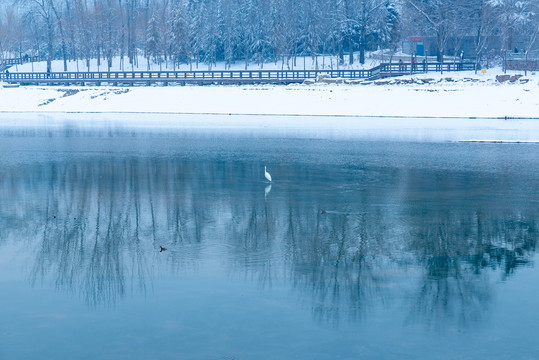 下雪的河边