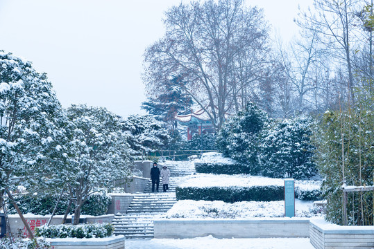 雪后的公园步道