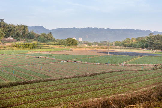 乡村风光