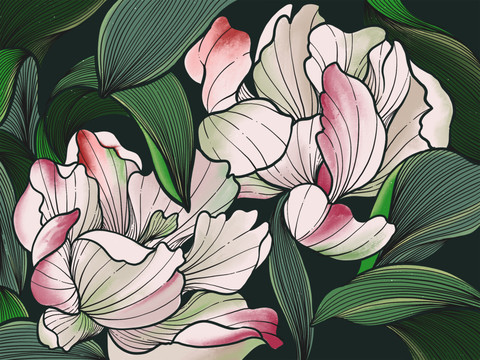花卉手繪插畫