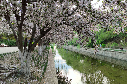 北京元大都城垣遗址公园