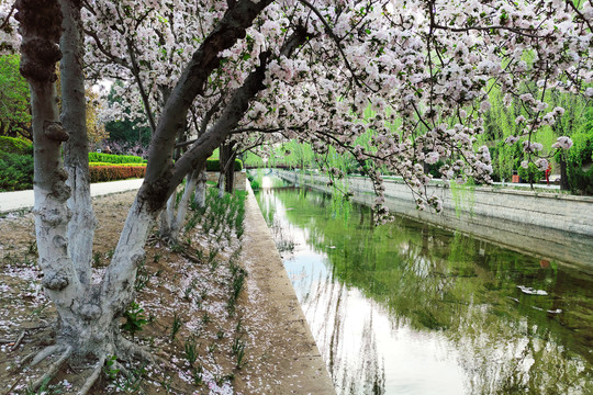 北京元大都城垣遗址公园