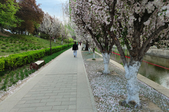 北京元大都城垣遗址公园