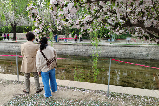 北京元大都城垣遗址公园