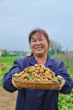 恩施富硒小土豆