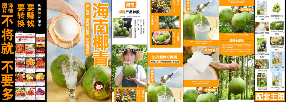 海南椰青詳情