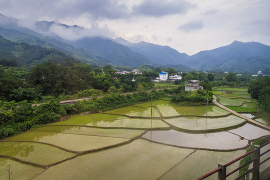 湘南田园风光