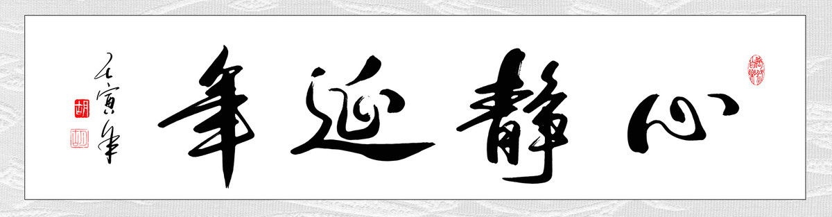 心靜延年書法