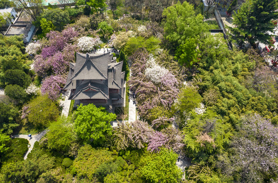 青龙寺