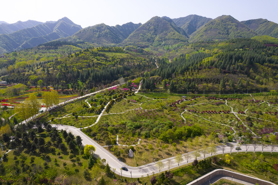 秦岭山植物园