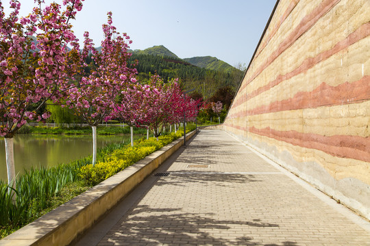 植物园