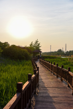 湖岸景观休闲木栈道