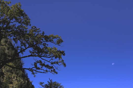 蓝天月亮高山光影树林