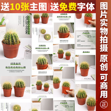 金琥詳情頁(yè)