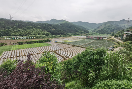 延平蔬菜种植基地