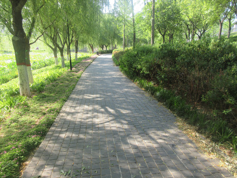 地面鋪裝