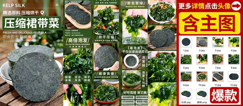 裙帶菜詳情