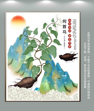 何首烏插畫
