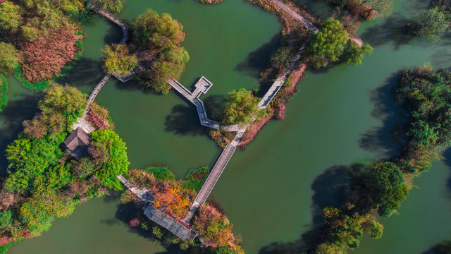 杭州西溪湿地