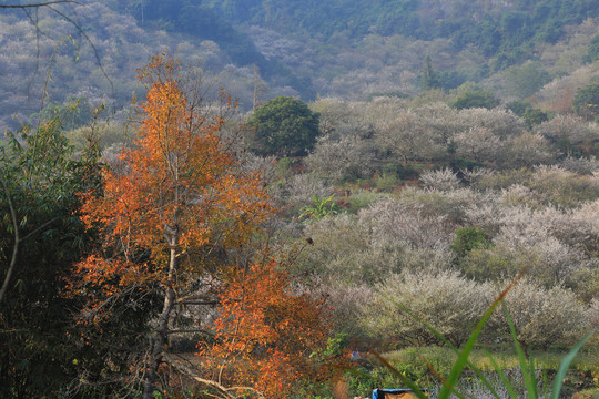 福州永泰风光