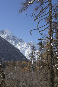 蓝天雪山森林自然风光