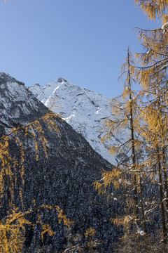 蓝天雪山森林自然风光