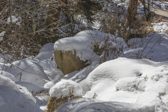 雪地光影