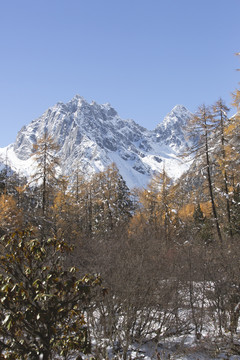 蓝天雪山森林自然风光