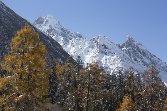 蓝天雪山森林自然风光