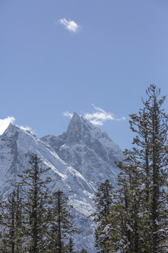 蓝天雪山森林自然风光