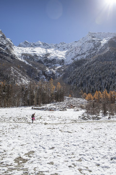 蓝天雪山森林自然风光