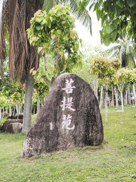 菩提苑